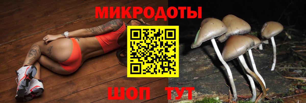 Боровичи  Псилоцибиновые грибы ЛСД  Вход с VPN 